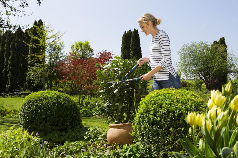 Gardena Hedge Clippers EasyCut 12301 20