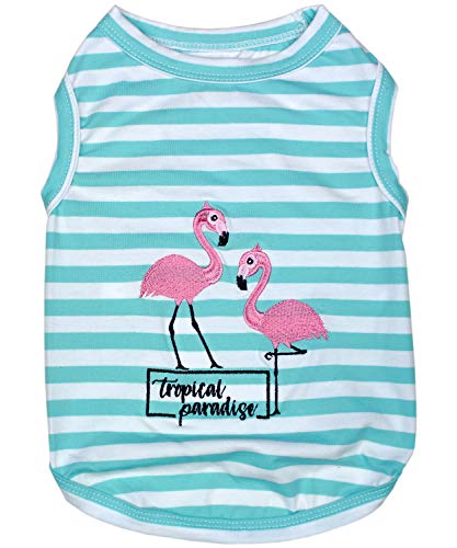 Flamingos