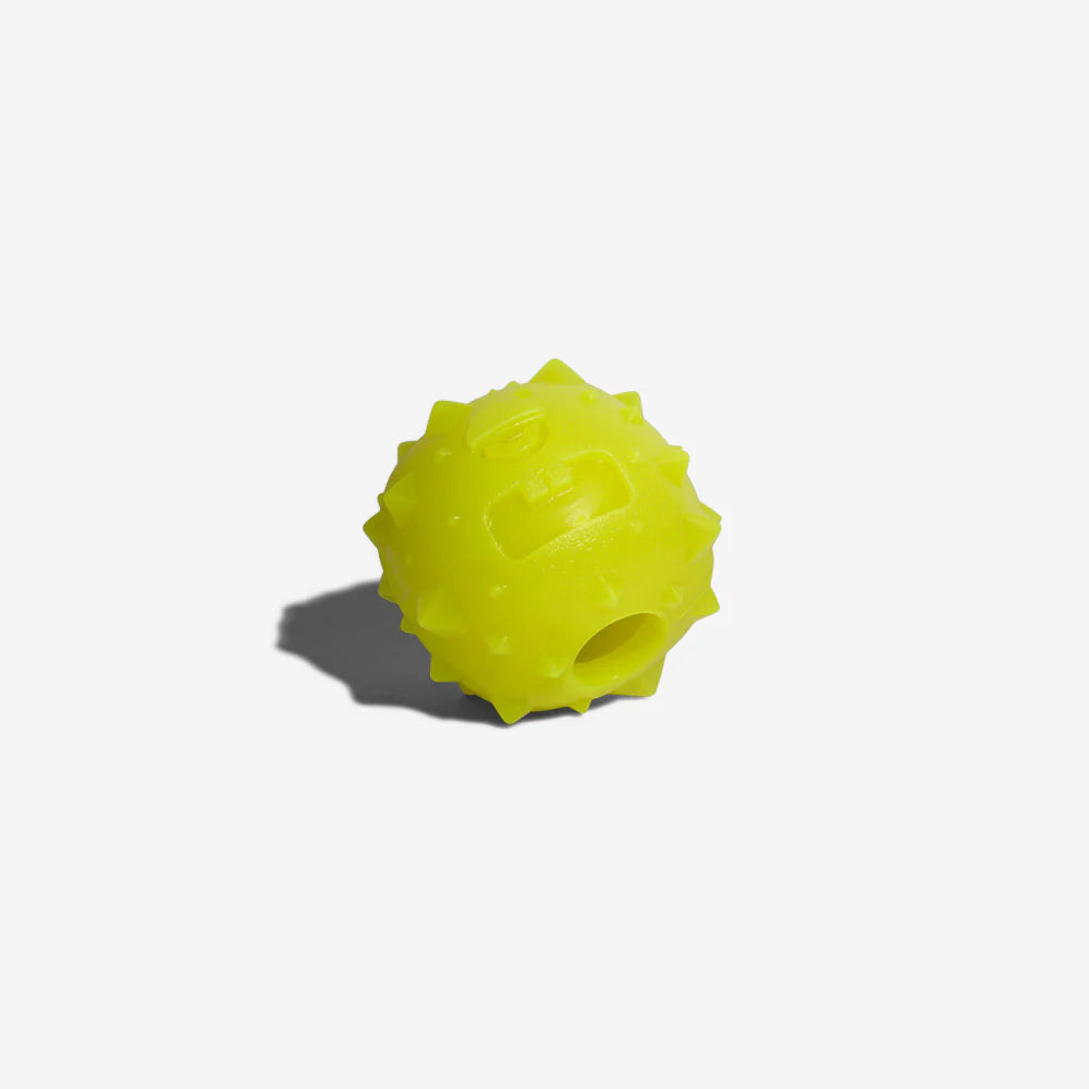 Rob The Microbe Interactive Dog Toss Toy by Zee.Dog - Fun Fetch & Chew Toy for Small & Medium Dogs, Perfect for Indoor & Outdoor Play