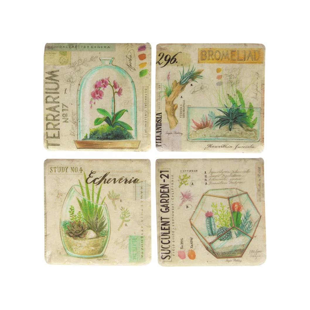 RMCSTM Terrarium Coaster Set of 4 - Handmade Plant Saucers for Succulents, Cacti & Houseplants - Perfect for Coffee Tables, Desks & Home Decor