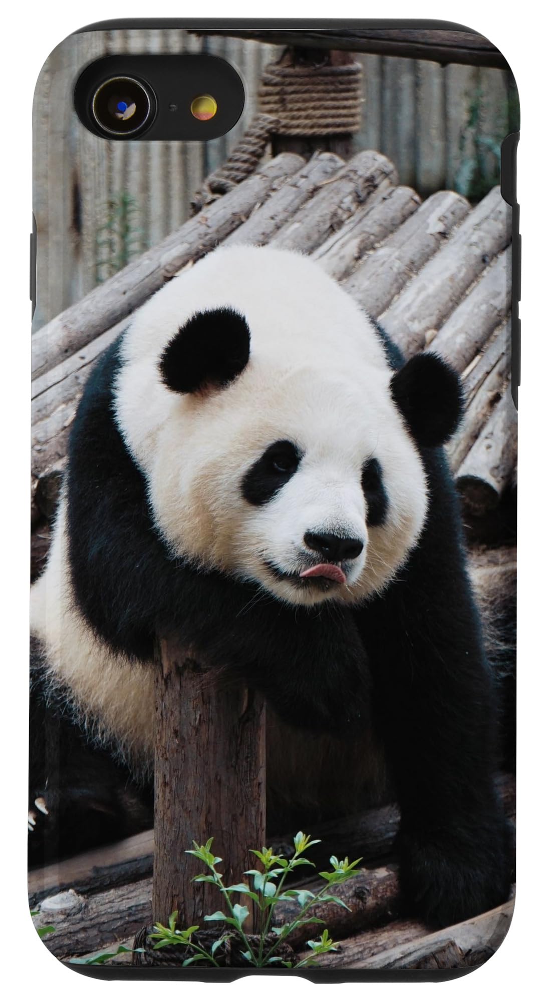 Cute Panda Phone Case for iPhone SE (2020) / 7 / 8 - Soft Protective Cover with Anti-Slip Grip - Perfect for Daily Use, Work & School Accessories
