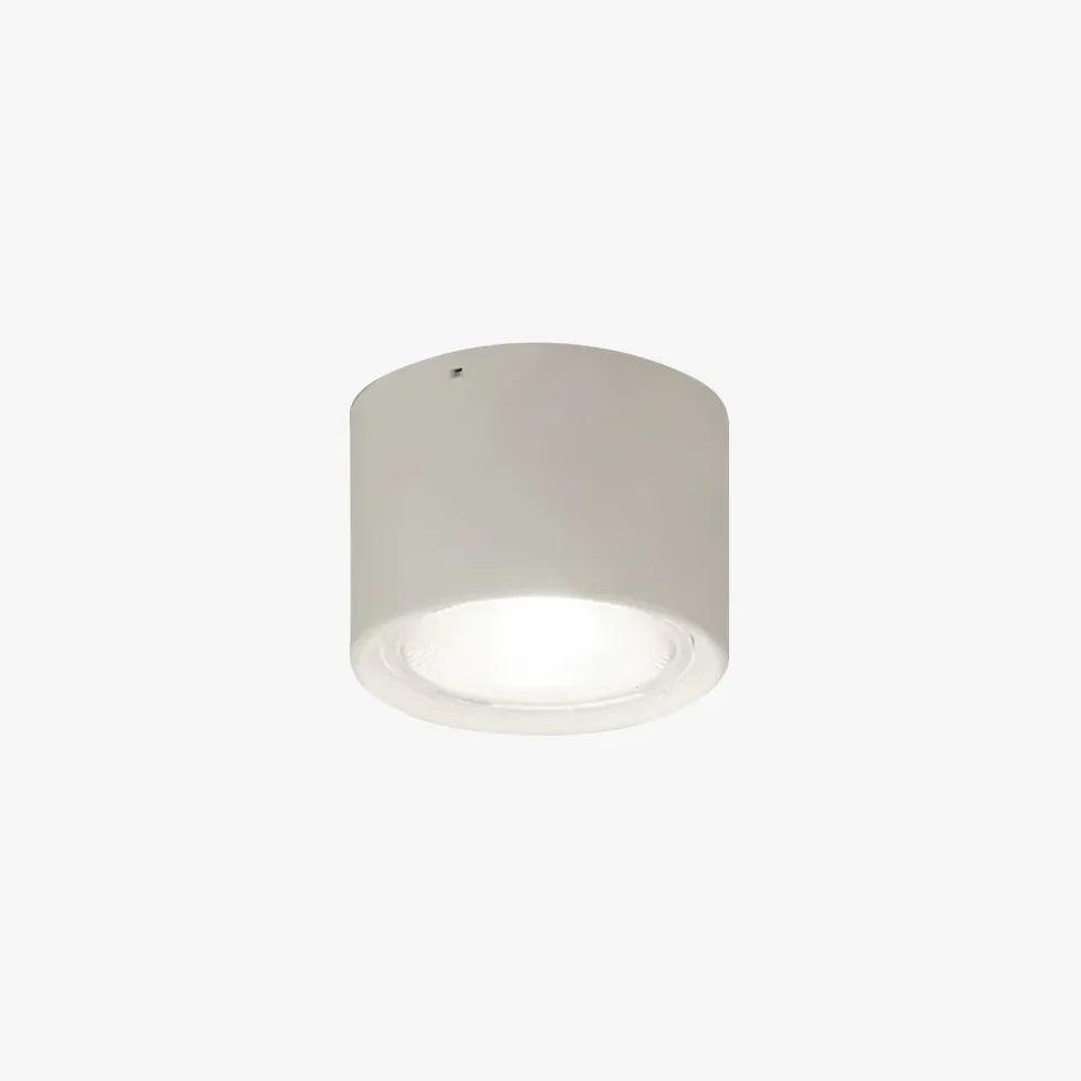 Modern Small Cylinder Ceiling Light for Bedroom - Elegant & Minimalist Lighting Fixture for Home Decor, Living Room, Dorm, or Apartment