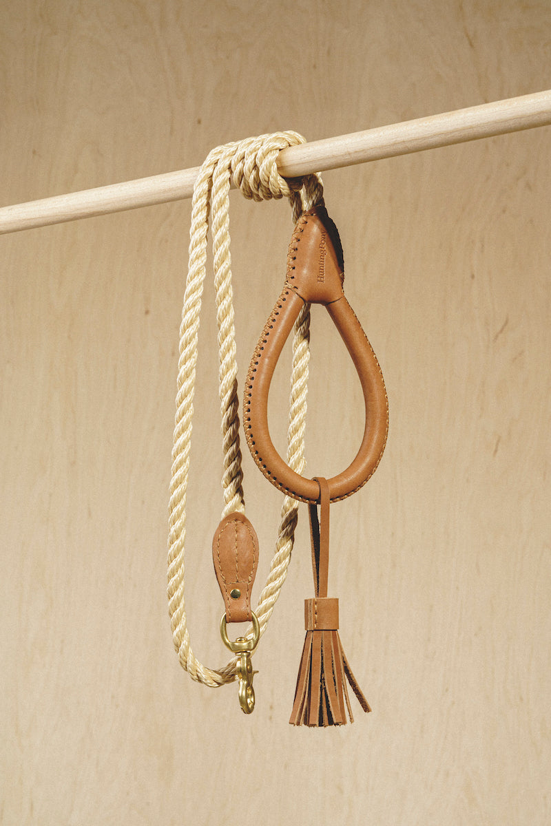 Premium Dog Leash for Small to Medium Dogs - Country Pony Ginger Design - Durable & Adjustable for Walking, Running, and Outdoor Adventures