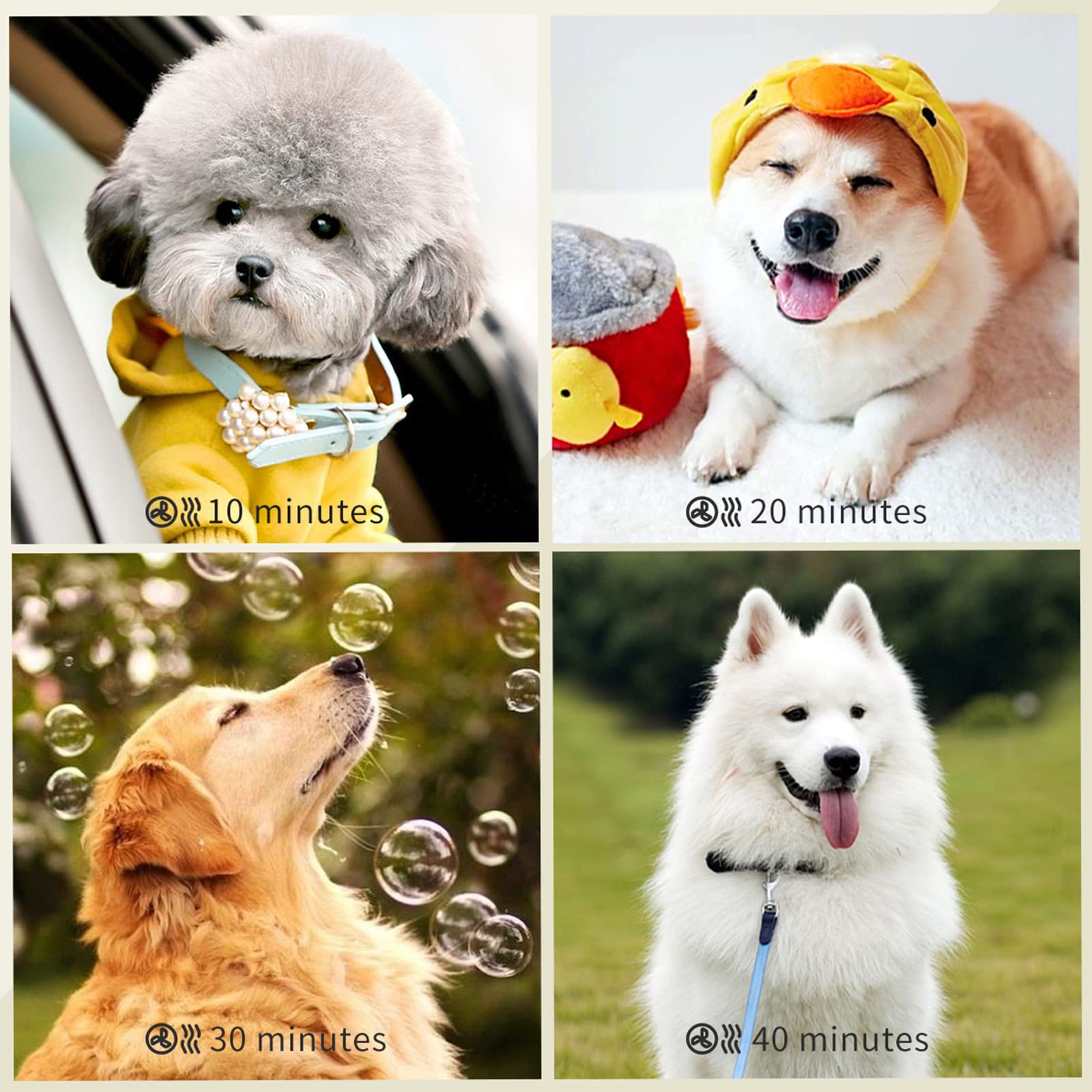 Professional Dog Dryer - High Velocity Pet Hair Dryer Blower with Noise Reduction & Adjustable Speed | Quick Grooming for Small, Medium & Large Dogs & Cats | Perfect for Post-Bath Drying & Professional Grooming Salons