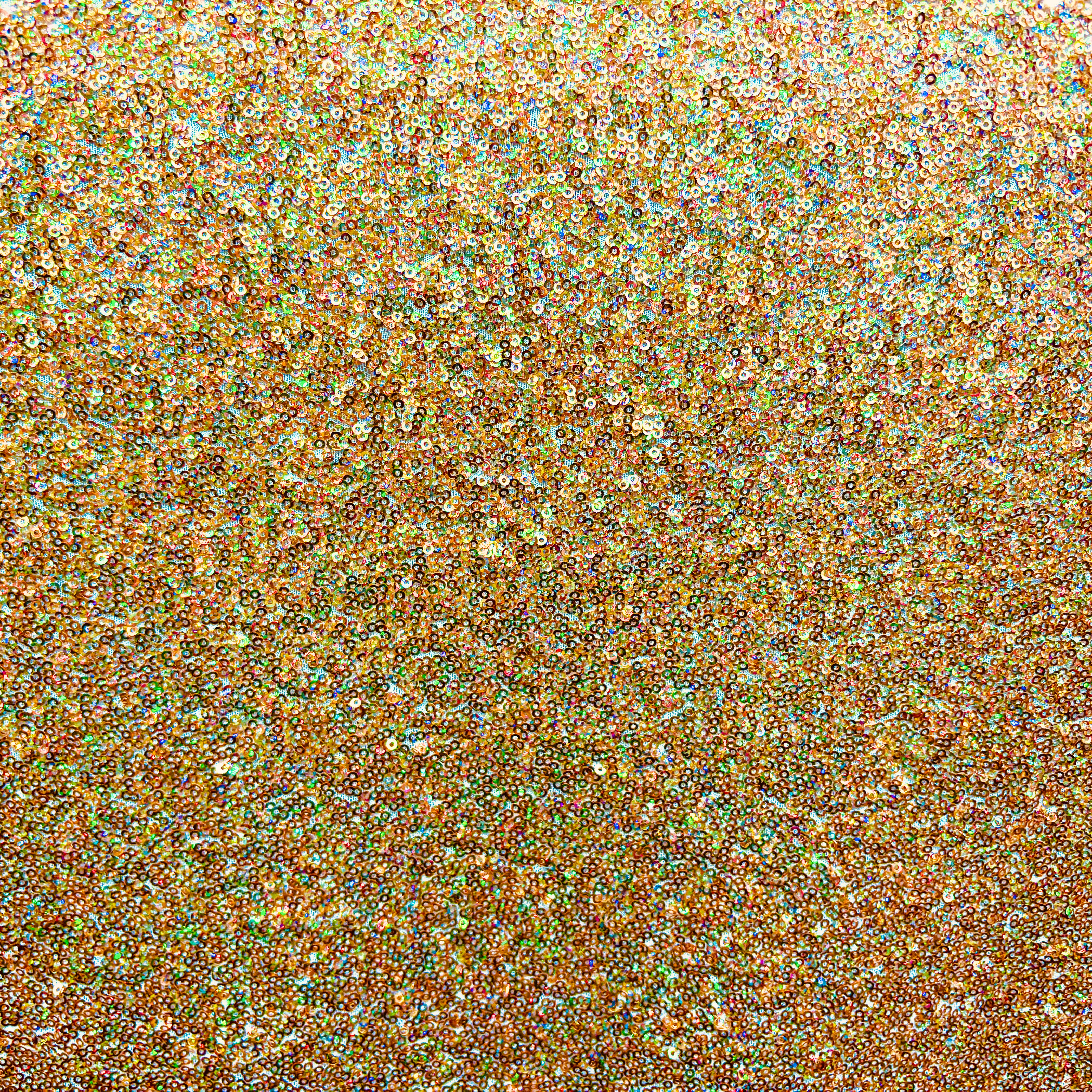 Premium Graphite Mesh with Gold Hologram Design - Trendy & Durable for DIY Crafts, Home Decor, and Fashion Accessories