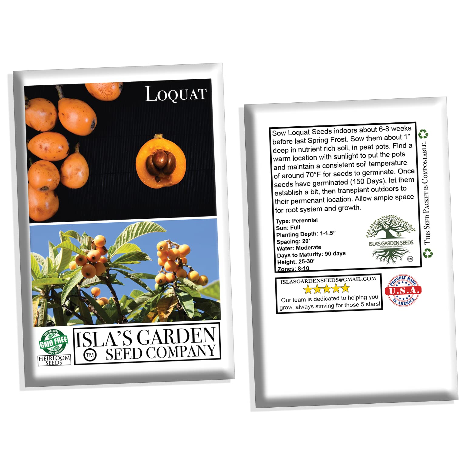 Organic Loquat Fruit Tree Seeds for Planting - Non-GMO Heirloom Eriobotrya Japonica - 3 Seeds per Packet by Isla's Garden Seeds - Perfect for Home Gardening, Edible Landscaping & Unique Gifts