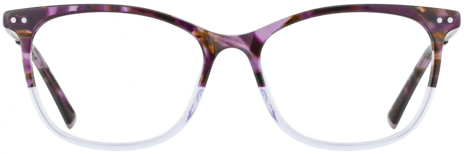 1 - Plum Tortoise / Lilac