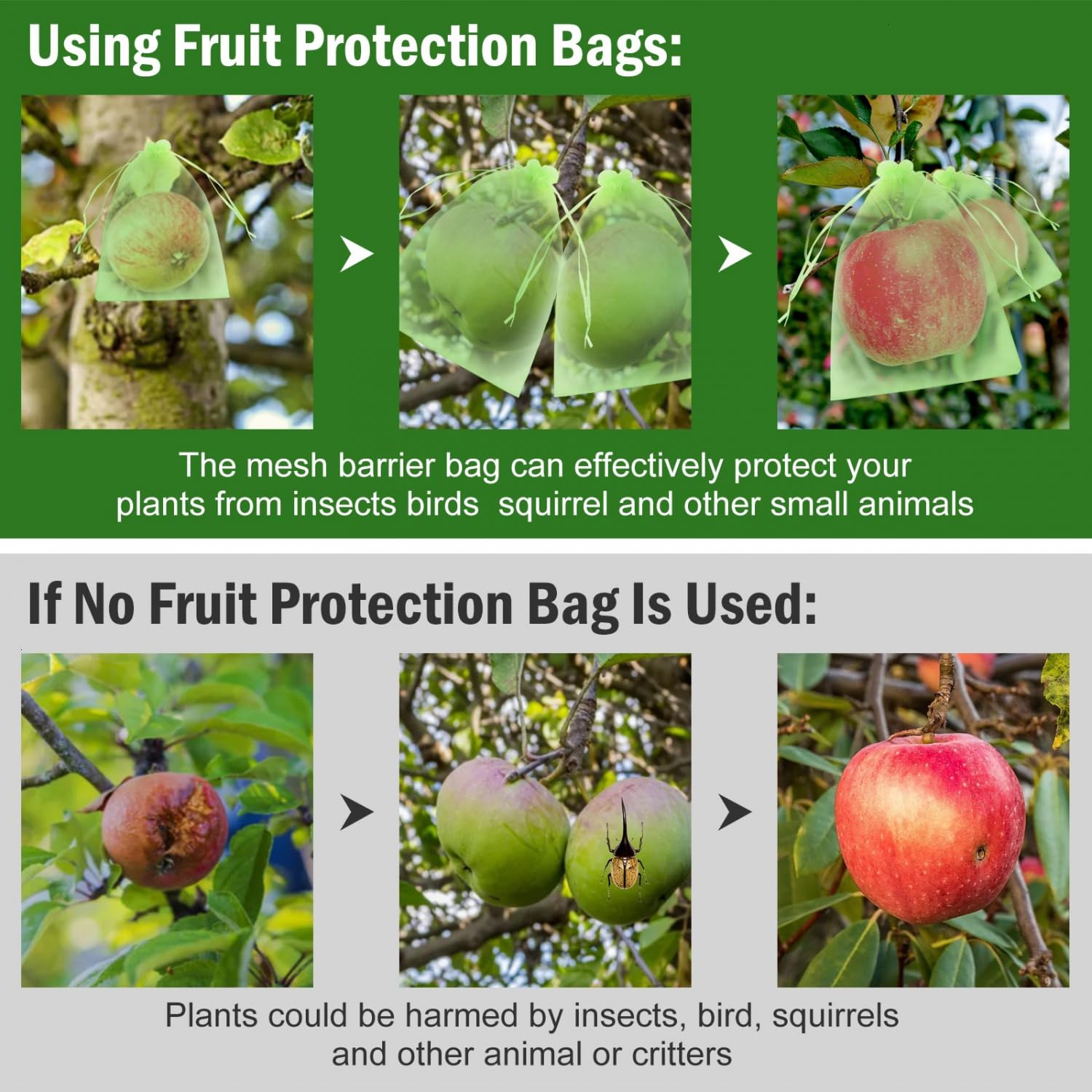 June Fox 50 Pcs 6x9 Inch Reusable Mesh Fruit Protection Bags with Drawstring - Breathable Garden Netting Covers for Mangoes, Tomatoes, Apples & Vegetables - Ideal for Organic Gardening & Pest Control (Green)