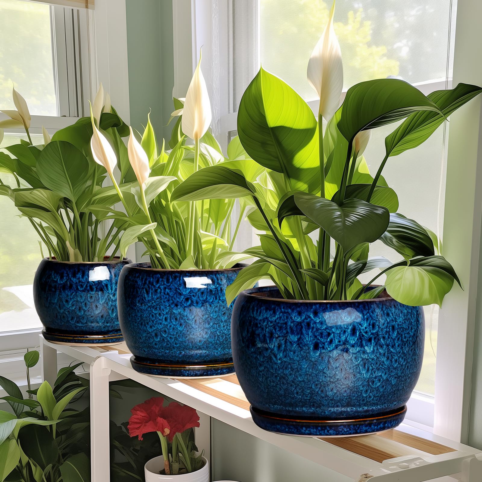 SQOWL 8 Inch Ceramic Planter with Drainage Hole & Saucer - Modern Round Glazed Blue Flower Pot for Indoor Outdoor Plants | Perfect for Home Decor, Office Desk, Garden, and Patio