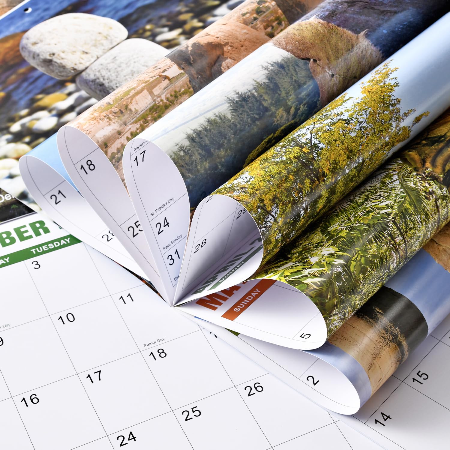 Funny 2025 Wall Calendar with Thick Paper - 12