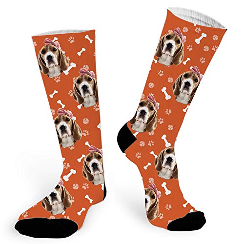 Orange Dog