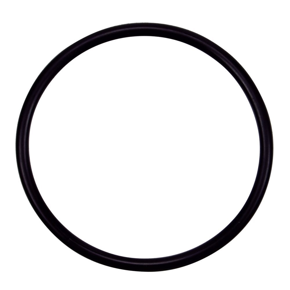 Pentair 355330 Strainer Pot Flange O-Ring Replacement for Pool & Spa Pumps, Filters, Skimmers - Durable Seal for Water Filtration Systems
