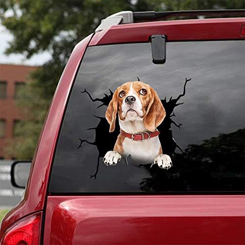 Beagle-02