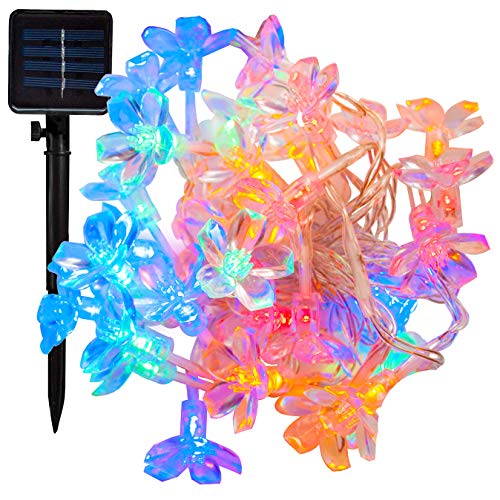 Solar Peach Blossom - 25 Foot - Multi Colored