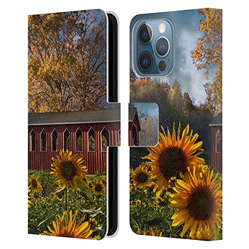 Summer in Sunflowers