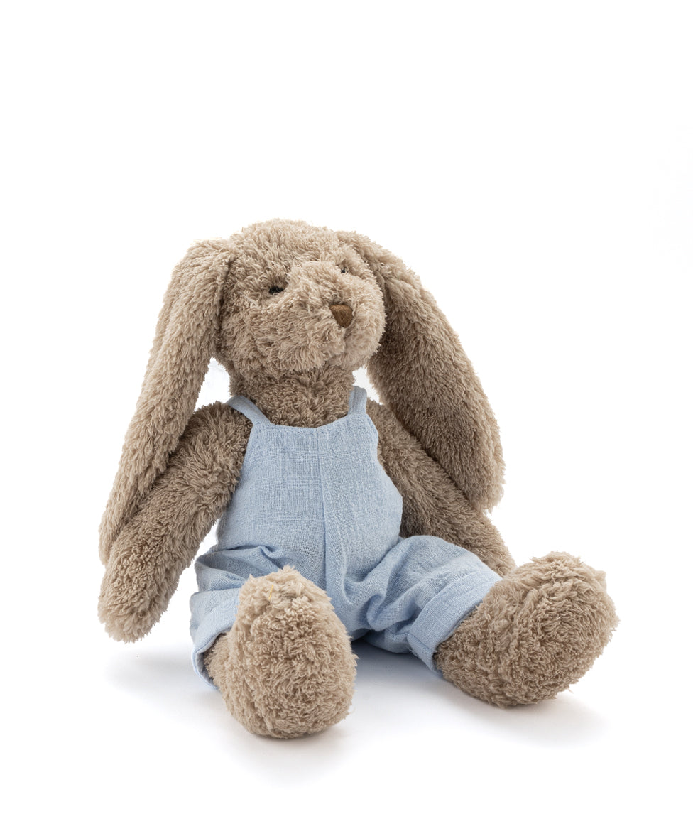 Personalized Bunny Plush Toy - Mr Honey Bunny Baby Blue Stuffed Animal for Kids, Perfect for Gifts, Nursery Decor & Cuddling