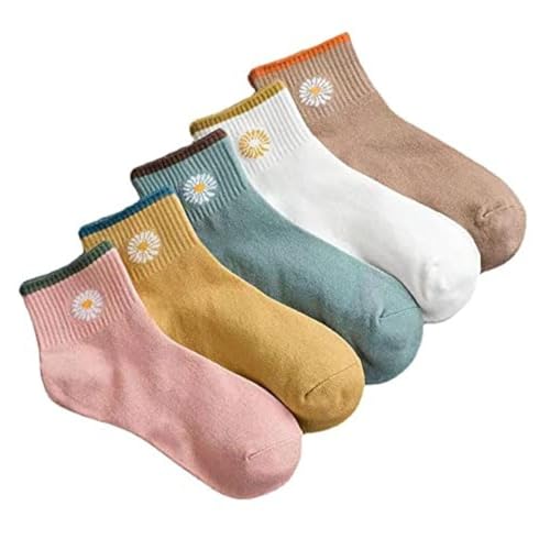 5pairs