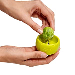 Twist And Sprout - Organic Sprouting Seeds for Healthy Microgreens | Perfect for Salads, Sandwiches & Home Gardening