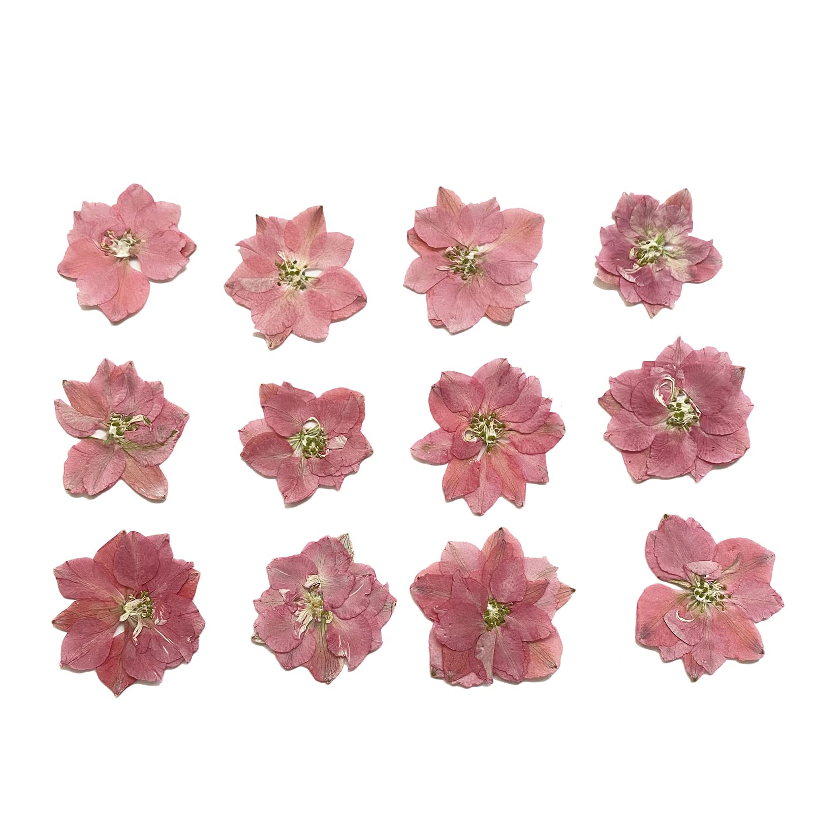 YUNZHI 12-Pack Natural Pink Delphinium Dried Pressed Flowers for DIY Crafts, Scrapbooking, Candle Making, Resin Jewelry & Home Decor - Perfect for Wedding Bouquets, Gift Wrapping & Boho Decorations