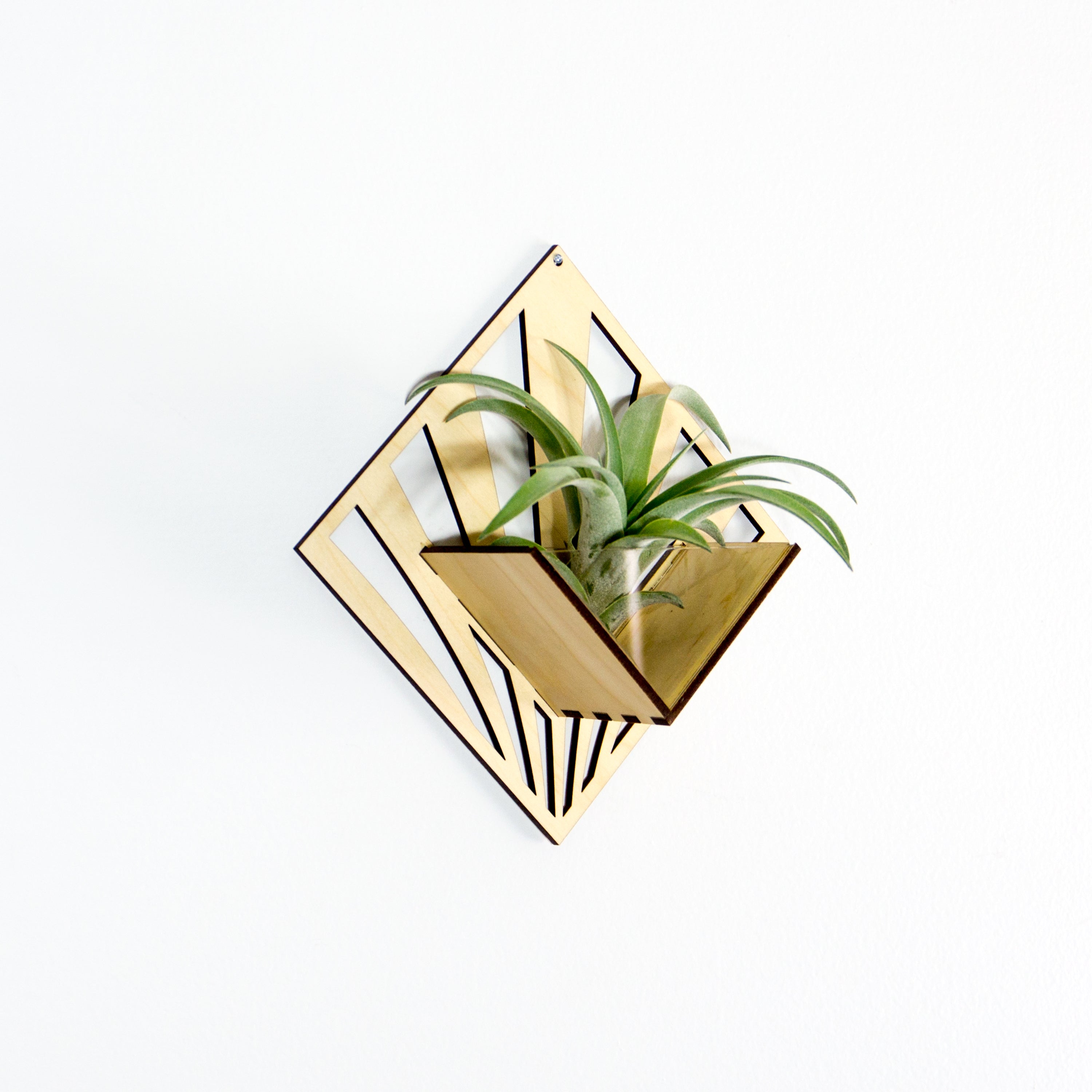 Handmade Wooden Quadrate Wall Planter Set of 2 - Air Plant Holder & Mounted Hanger Display for Tillandsia | Rustic Home Decor, Unique Plant Lover Gift Idea for Living Room, Bedroom or Office Decor