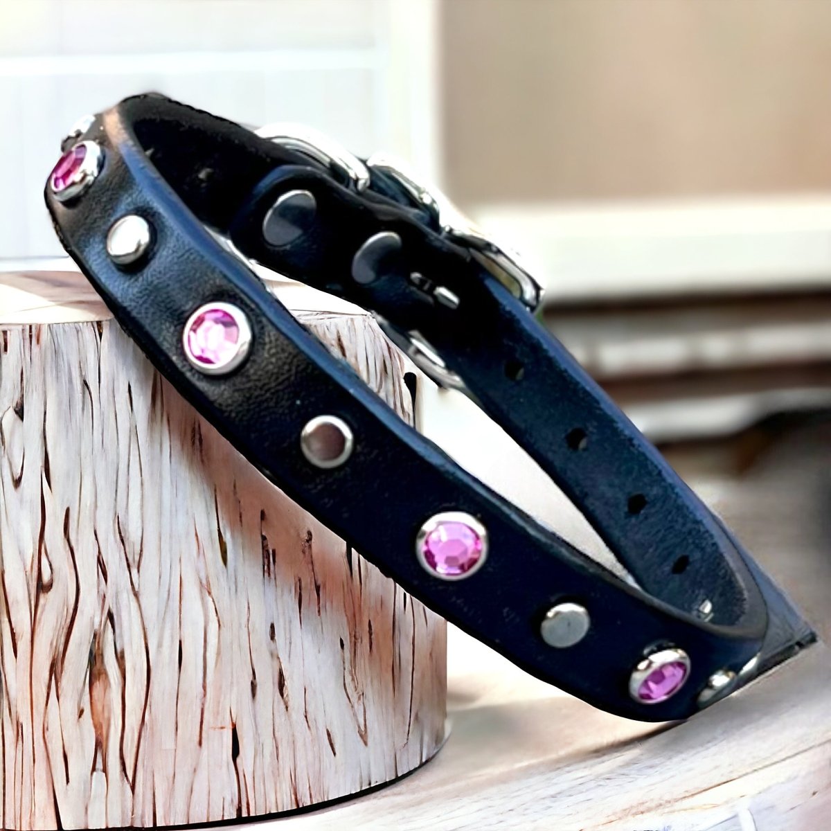 Premium Pacifica Leather Dog Collar – Durable & Stylish for Small, Medium, Large Dogs – Adjustable & Comfortable for Daily Walks, Training, and Outdoor Adventures