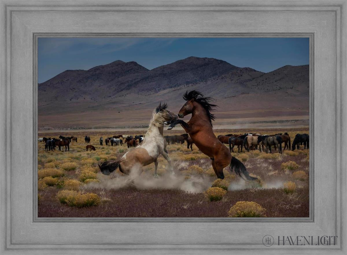 Desert Duel 5 by Greg Sargent - Western Action Novel - Perfect for Book Clubs & Cowboy Adventure Fans