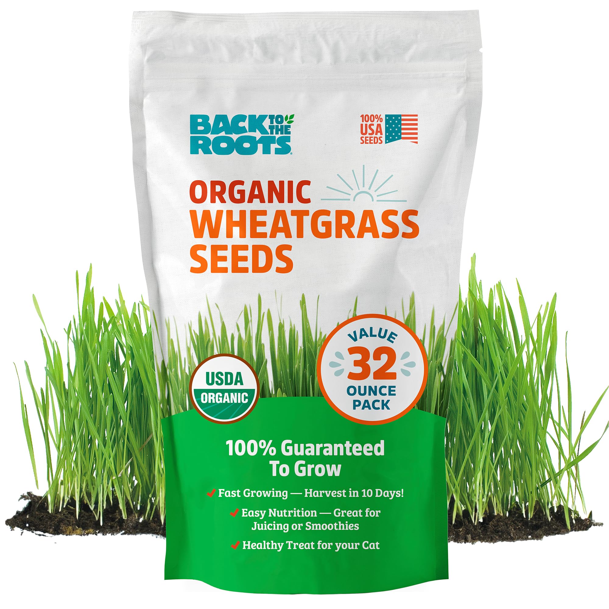 Organic Wheatgrass Seeds for Planting – 2lb Non-GMO Value Pack | Grow Nutritious Wheatgrass & Cat Grass | Natural Hairball Remedy for Pets | Perfect for Home Gardening, Juicing & Pet Wellness