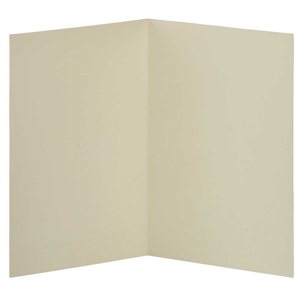 JAM PAPER Blank A6 Foldover Cards - Ivory - 500 Pack for Invitations & Notes