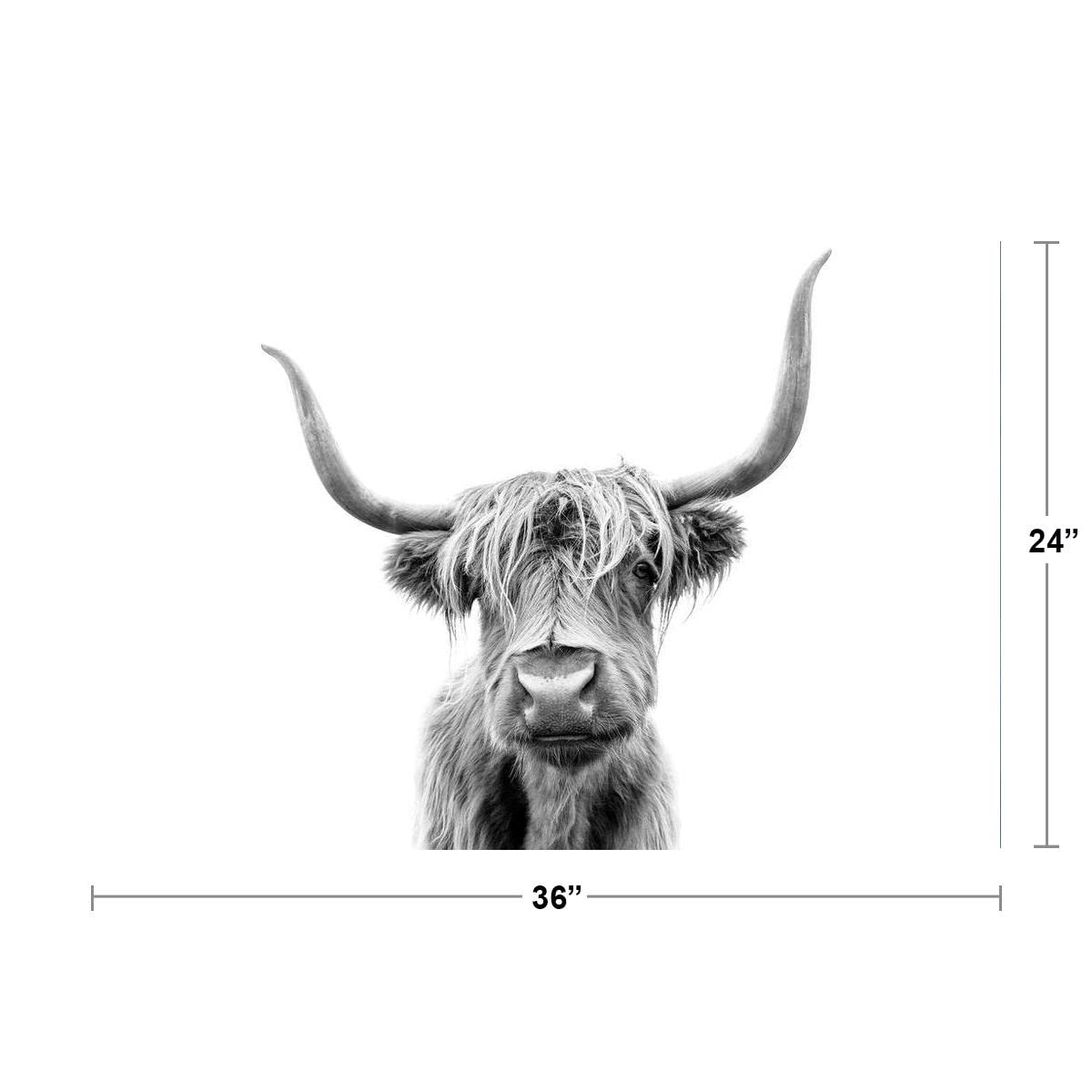 Highland Cow Wall Art Print - 24x36 Inch Farmhouse Decor Poster for Living Room, Bedroom & Office | Rustic Animal Wall Decor for Home & Gifts