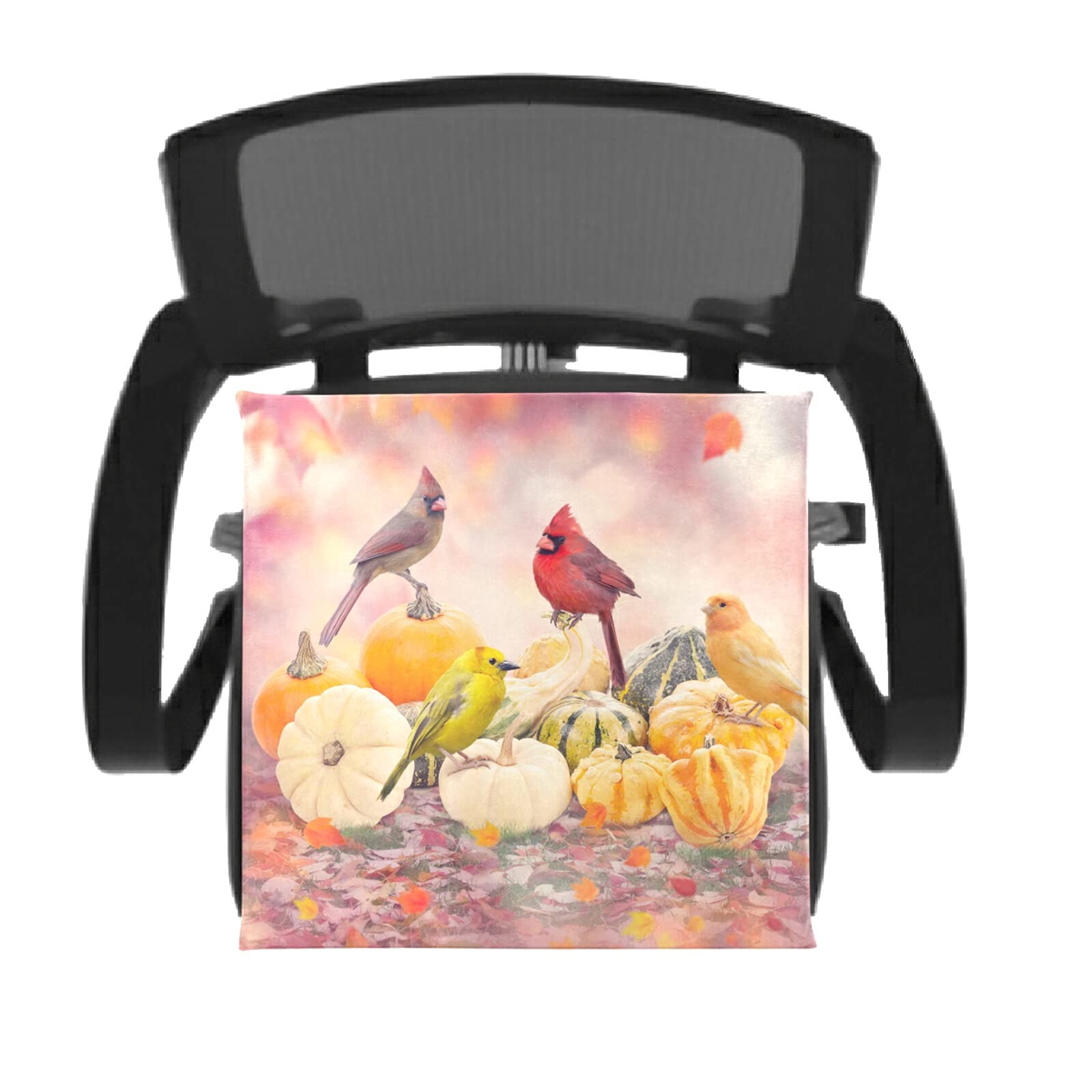 Memory Foam Seat Cushion with Washable Cover - Fall Birds & Pumpkins Design for Dining Chairs, Kitchen Chairs & Office Chairs - Comfortable Support for Home, Office & Outdoor Use