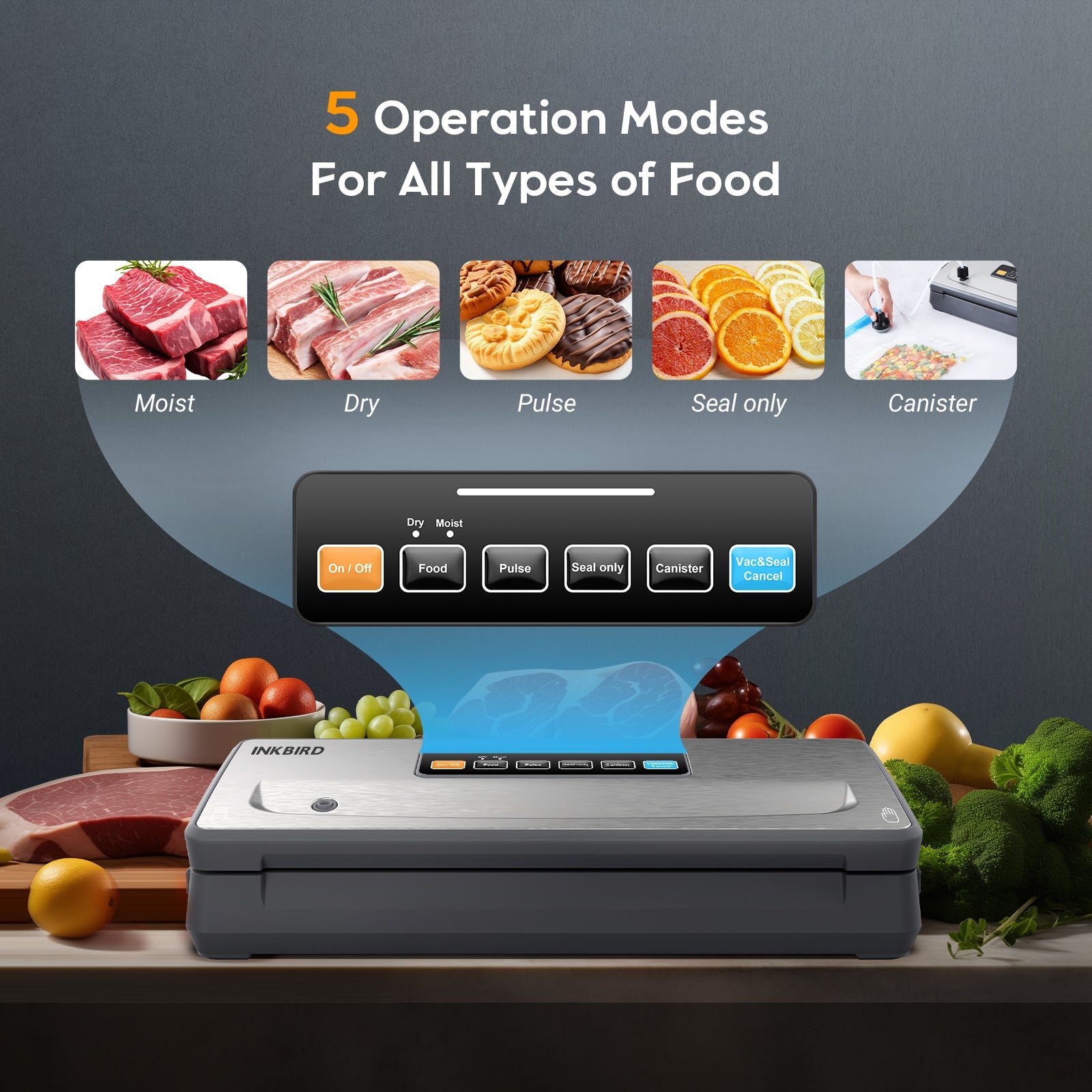 INK VS06 Vacuum Sealer Machine for Food Preservation - Compact & Powerful Vacuum Sealing System for Meat, Vegetables, Cheese | Perfect for Meal Prep, Sous Vide & Freezer Storage