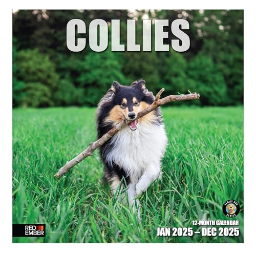 03 - Collies
