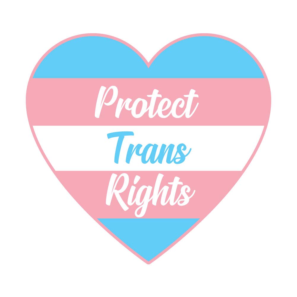 Transgender Ally Vinyl Decal - 6 Inch Full Color Waterproof Sticker for Cars, Laptops, Windows & Home Décor | Indoor & Outdoor Use | Show Support for Trans Rights & LGBTQ+ Community