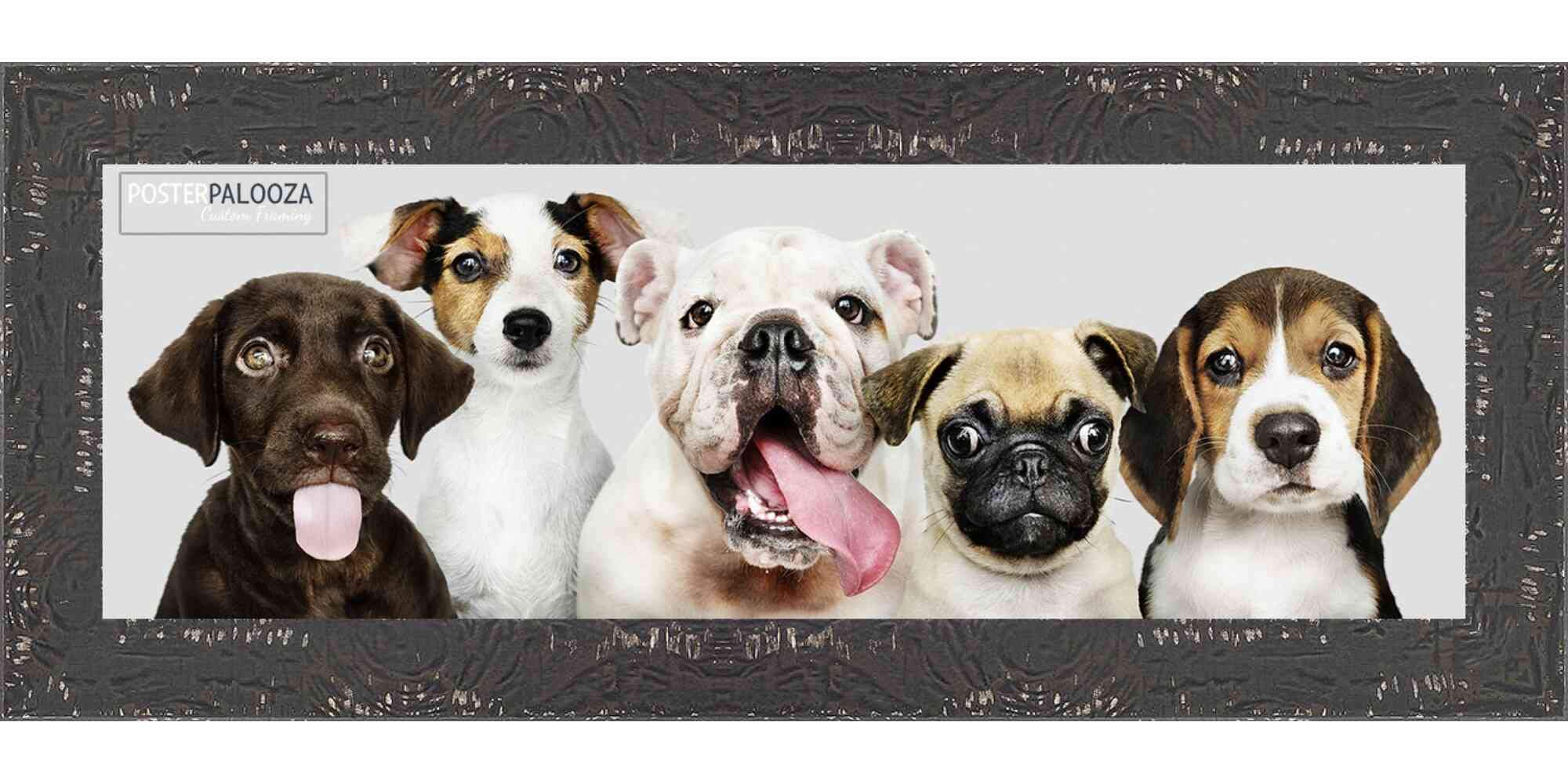 12x48 Rustic Black Farmhouse Picture Frame - Solid Wood Panoramic Photo Frame with UV Acrylic, Foam Backing & Hanging Hardware - Perfect for Wall Decor, Living Room Gallery, Office Art Display & Large Poster Framing