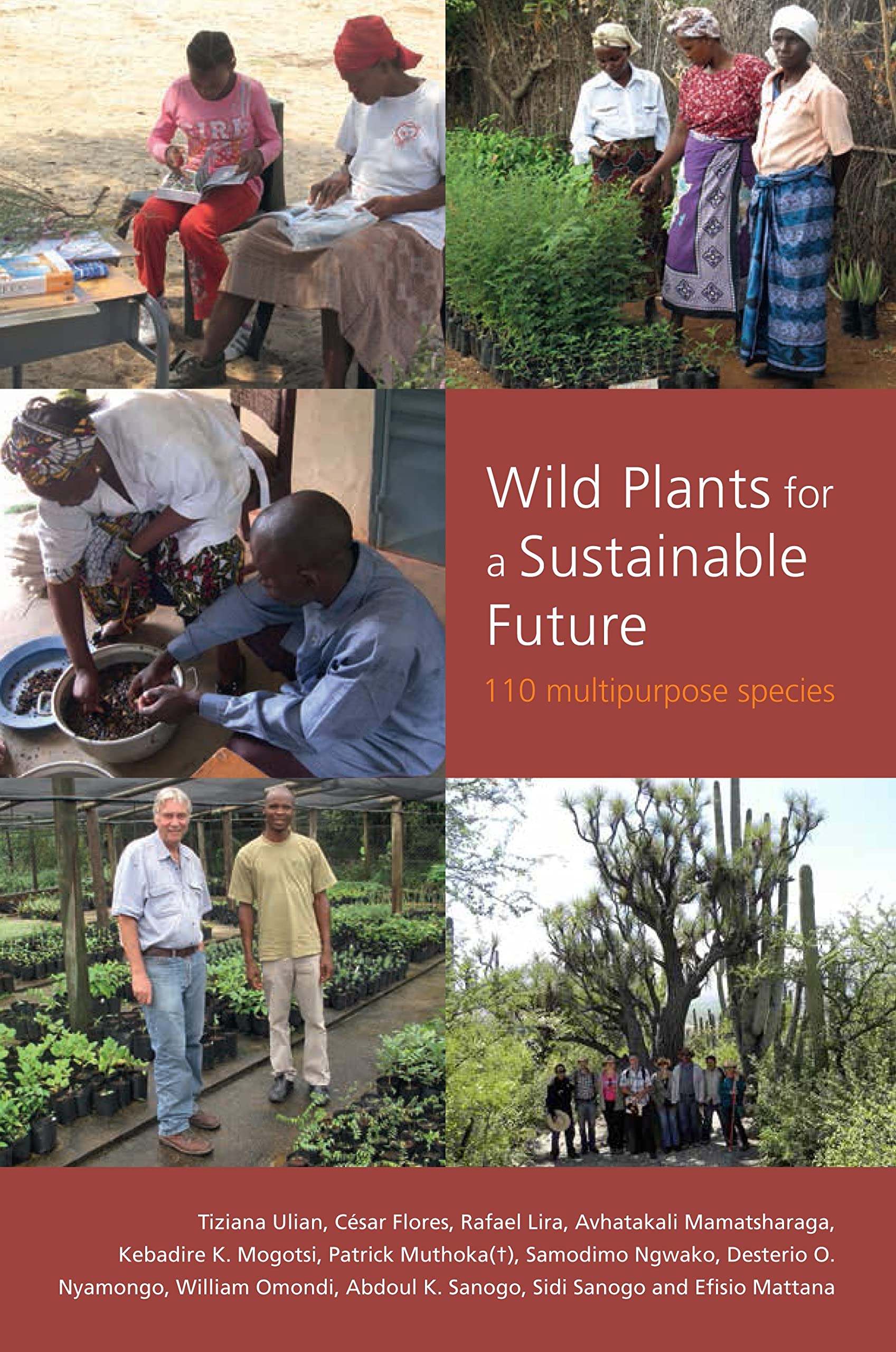 Wild Plants for a Sustainable Future - Eco-Friendly Gardening & Landscaping Solutions | Perfect for Home Gardens, Urban Farming & Conservation Projects