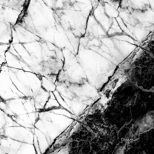 Fatal Contradiction