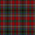 Anderson of Arbrake Tartan Plaid Scarf - Premium Wool Wrap for Men & Women - Classic Scottish Style for Fall, Winter & Outdoor Adventures
