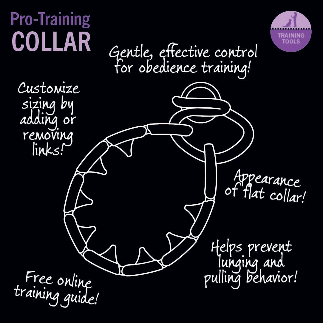 Starmark Pro-Training Dog Collar Small - Adjustable Nylon Puppy Training Collar for Small Dogs - Perfect for Obedience Training, Walking & Outdoor Adventures