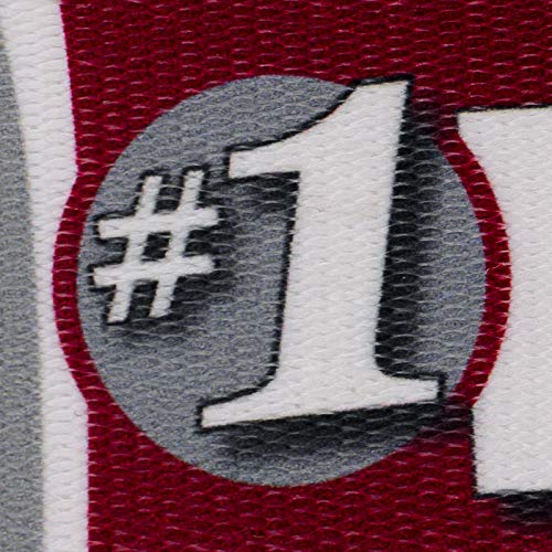Crimson and White Football Fan