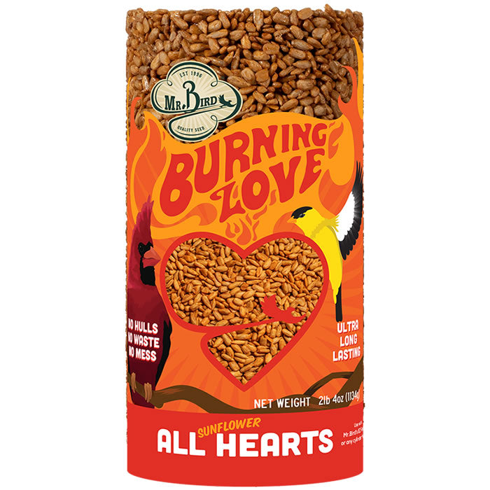 Burning Love Cylinder Small Candle - Romantic Home Decor for Weddings, Anniversaries & Relaxing Ambiance