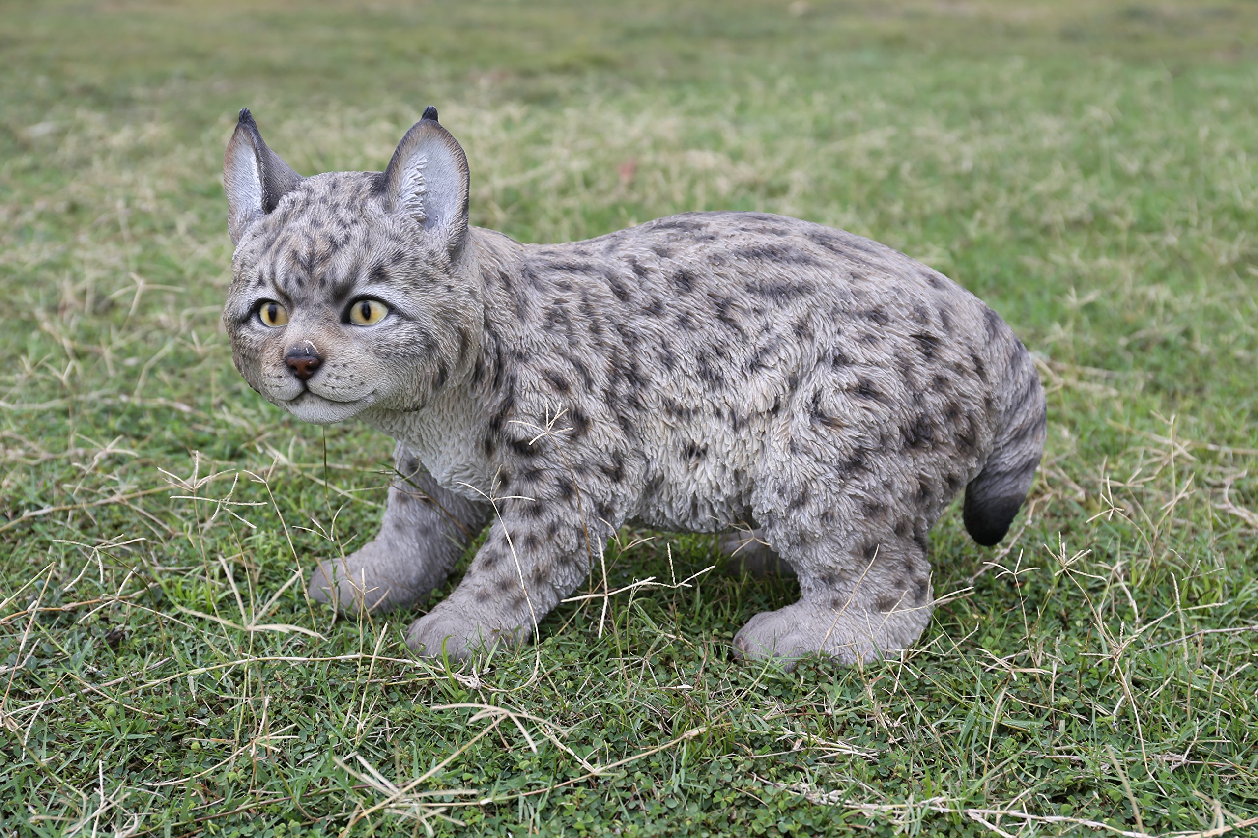 Hi-Line Gift 87711-B Lynx Kitten Statue - Handcrafted Resin Wild Cat Sculpture for Home Decor, Office Desk, and Gift Giving