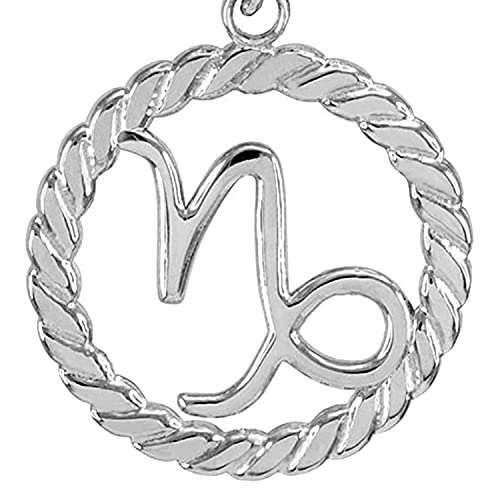 14k White Gold Capricorn