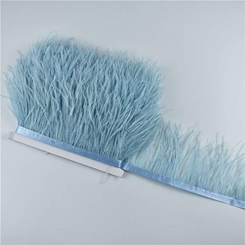1M 5M 10M Light Blue Ostrich Feather Trims for DIY Clothing, Skirts, Crafts - 8-10CM Plumes in Black, White, Pink - Perfect for Costume Design, Wedding Decor & Home DIY Projects - 5 Meters
