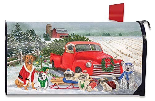 16 - Holiday Dogs