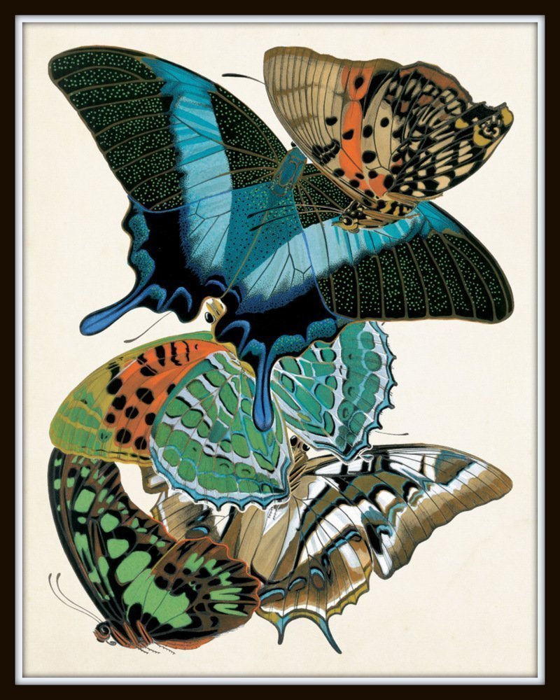 Art Nouveau Butterfly Print Set No.1 - 12 Giclee Seguy Butterfly Wall Art Prints (Unframed) - Perfect for Home Decor, Office Wall Art & Gift Giving