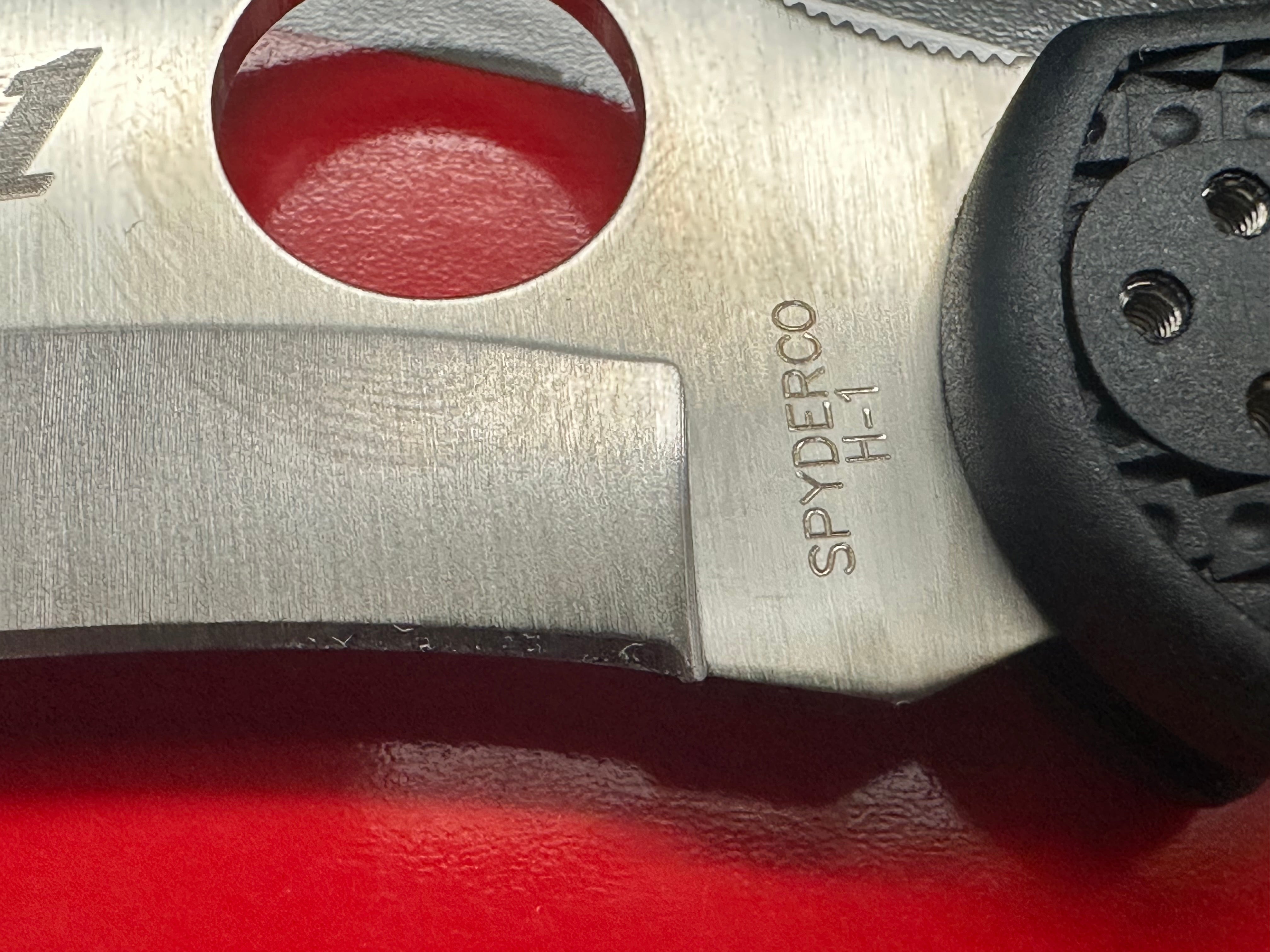 Spyderco Tasman Salt 2 Lock Back Knife - Black FRN Handle, 2.8