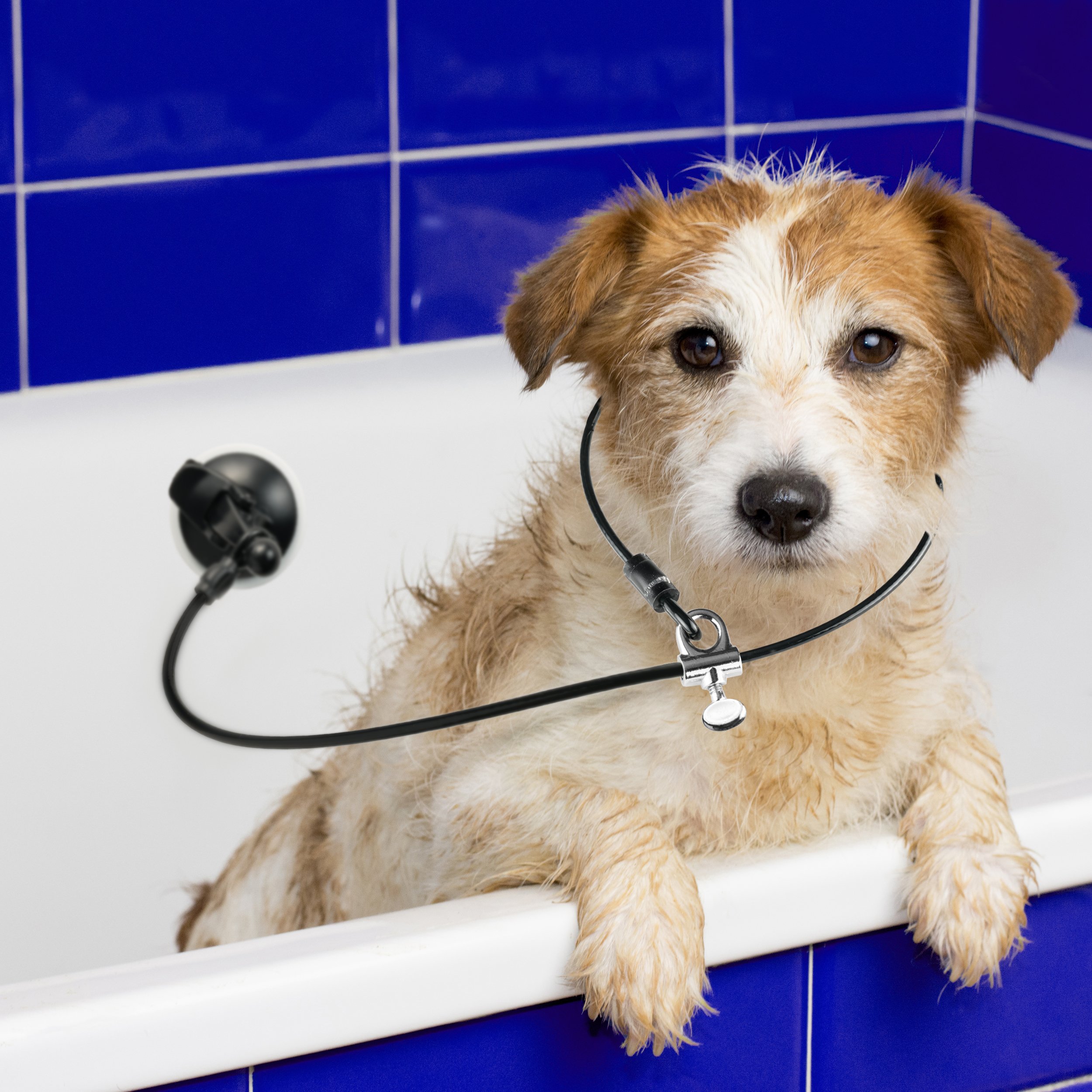 LAST LEASH Dog Bathing & Grooming Suction Cup - Secure Any Size Dog in Bathtub or Shower - Heavy Duty Pet Bath Accessories for Easy Washing & Cleaning at Home
