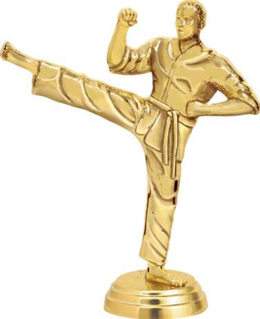 Custom Engraved Karate Trophy for Men - Black Lightning Design - Personalized Martial Arts Award - Perfect for Tournaments, Dojo Recognition & Achievement Celebrations