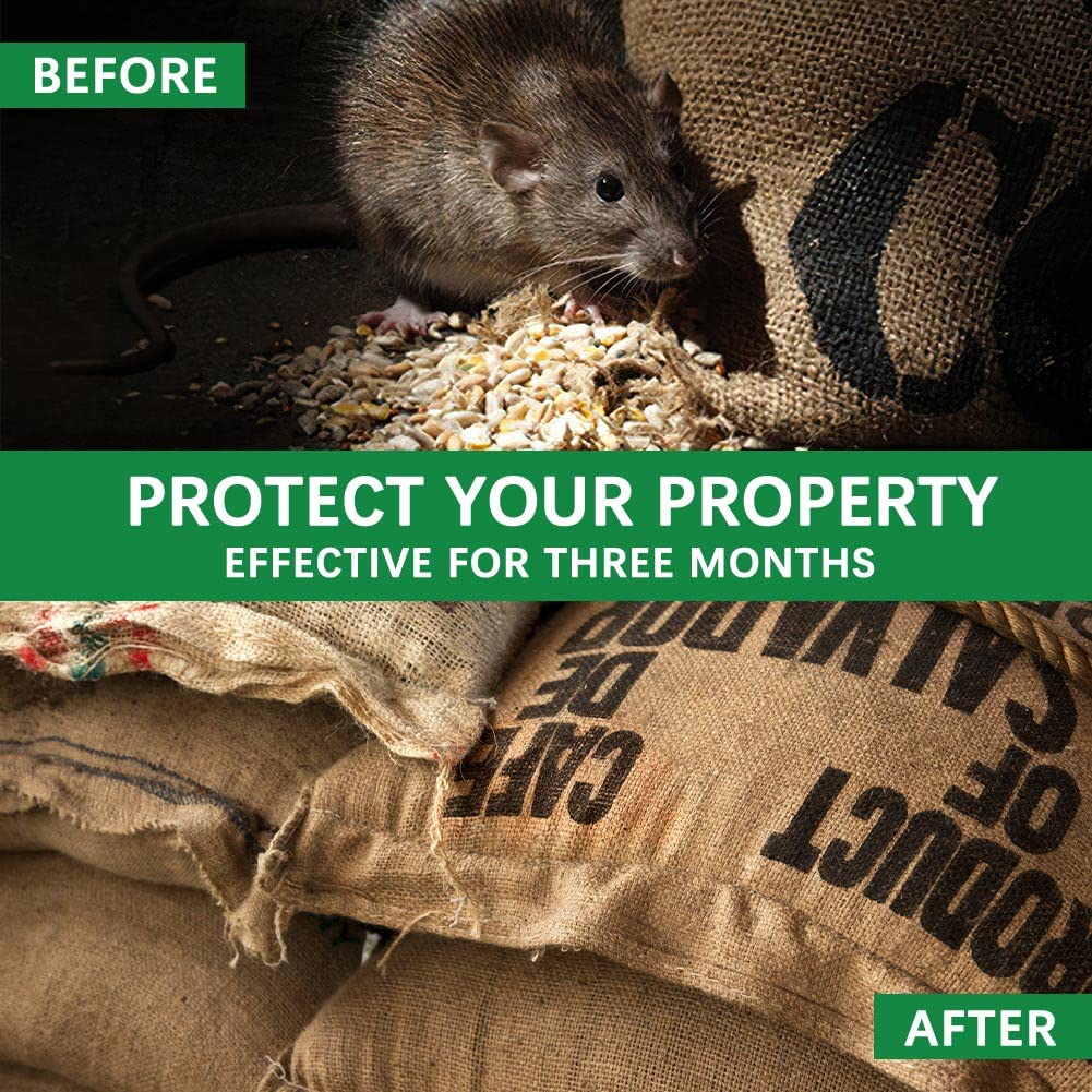 Natural Peppermint Rodent Repellent Balls - 8 Pack for Indoor/Outdoor Use - Mice & Rat Deterrent for Homes, Garages, Cars & Gardens | Safe Pest Control Solution for Kitchen, Basement & Vehicle Engine Protection