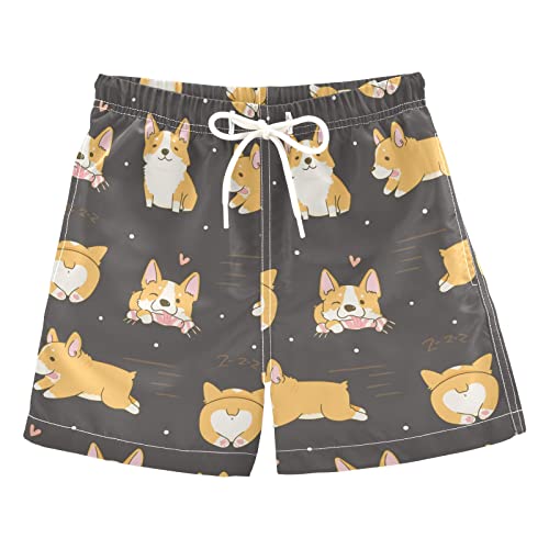 13-dogs